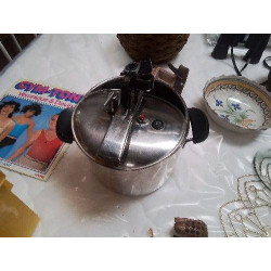 COCOTTE LAGOSTINA