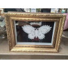 CADRE PM DORE VITRINE PAPILLON BRODERIE
