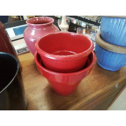 DUO POTS FLEURS ROUGE