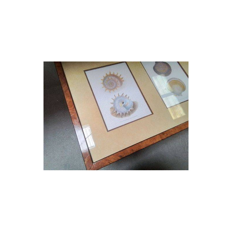 CADRE COQUILLAGES ENCADREMENT BIARRITZ