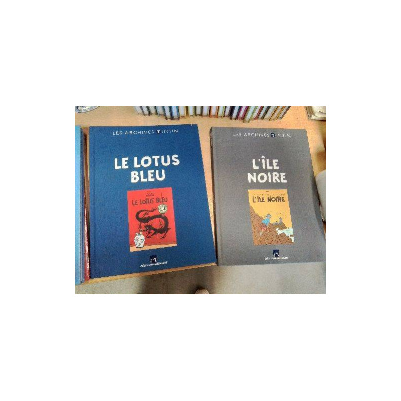 LIVRE LES ARCHIVES TINTIN EN L ETAT