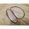 PILULIER ANC COQUILLAGE