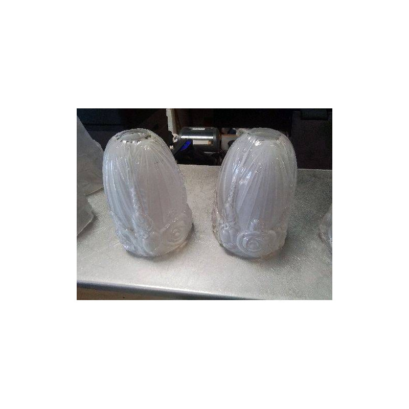 TULIPE BACCARAT 1920