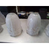 TULIPE BACCARAT 1920