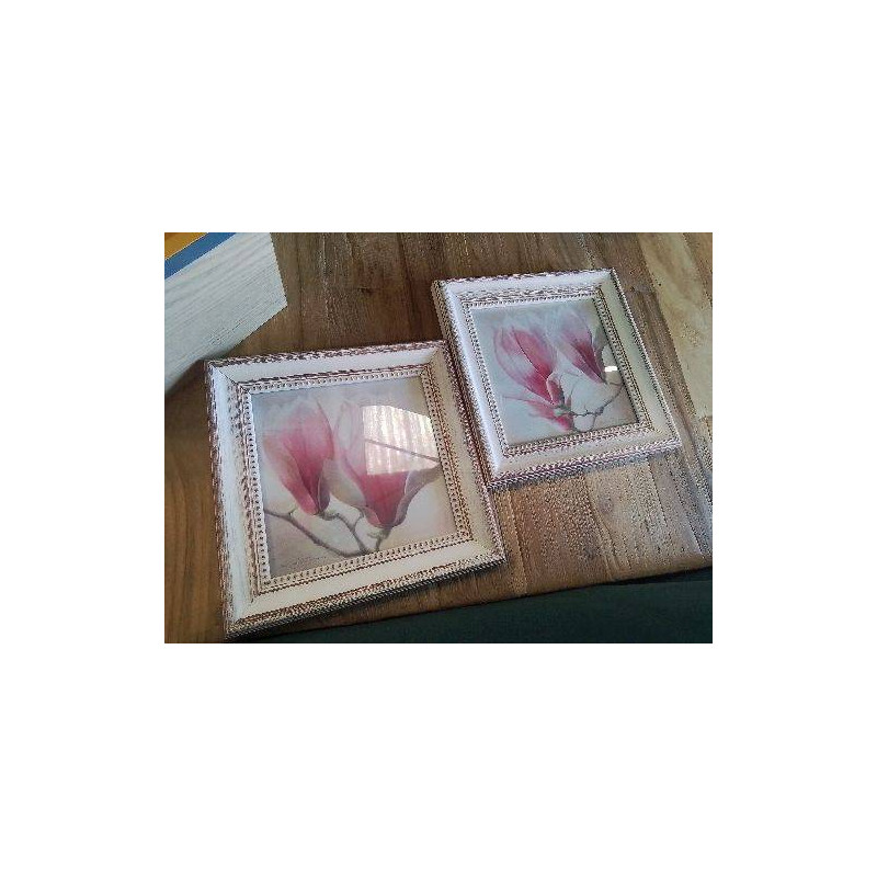 CADRE PM BLANCHI FLEURS ROSE BLANC
