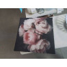 CADRE TOILE ROSES