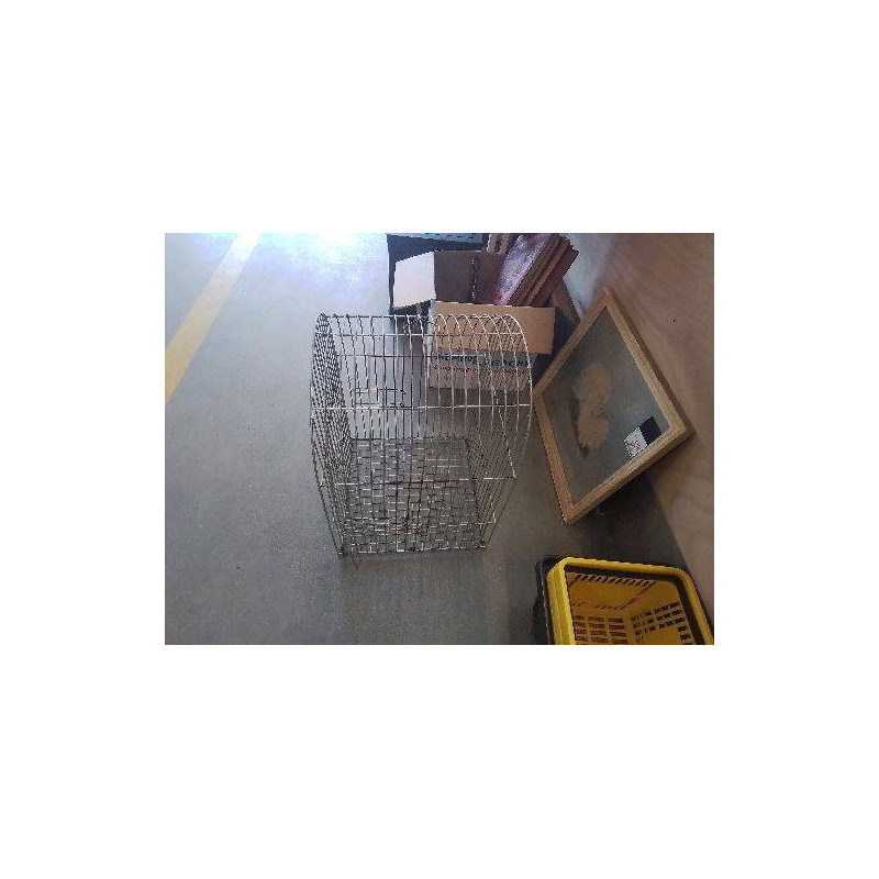 CAGE OISEAUX