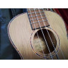 YUKULELE ALABANA FZU DA 20C+HOUSSE