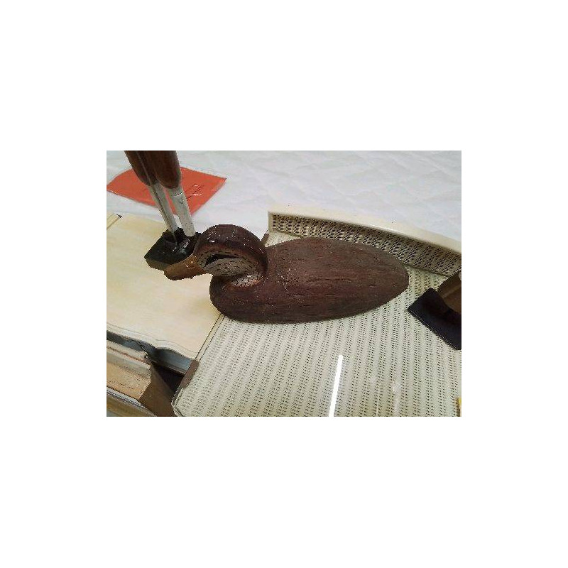 CANARD BOIS 