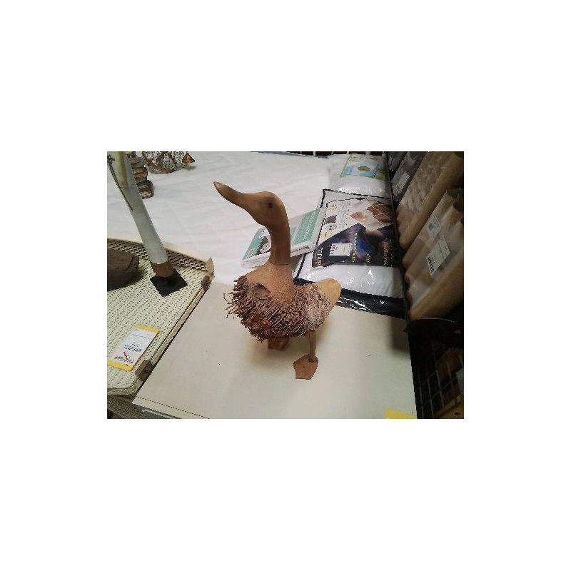CANARD RACINE