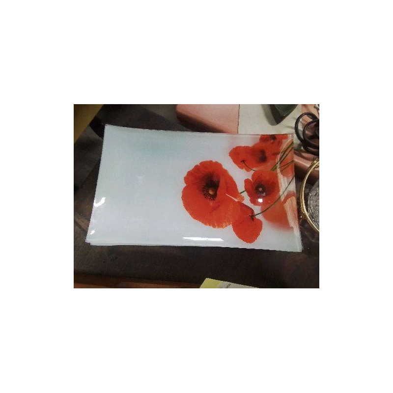 LOT DE 6 ASSIETTES RECTANGULAIRE DECO COQUELICOT 