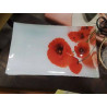 LOT DE 6 ASSIETTES RECTANGULAIRE DECO COQUELICOT 