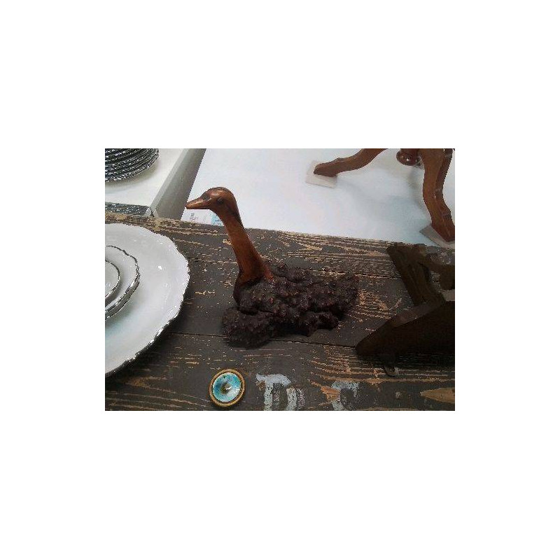 CANARD RACINE