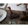 CANARD RACINE