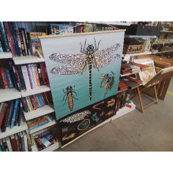 AFFICHE DRAGONFLY