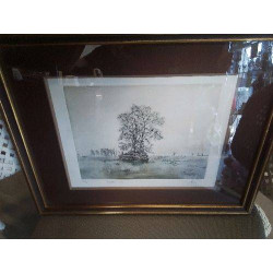 LITHO ARBRE BATEAU 63/90...