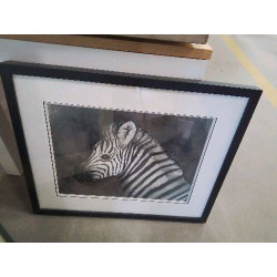 AQUARELLE ZÈBRE 
