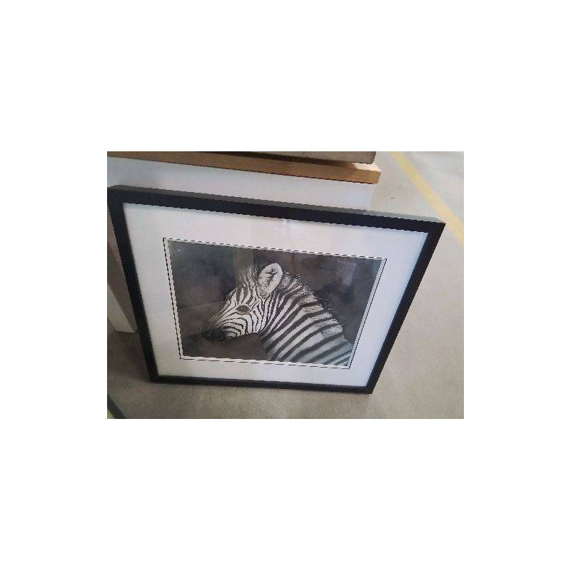 AQUARELLE ZÈBRE 