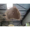 SP0015-SOUCOUPE PLEINE Z   XXL 105CM/HT50CM