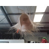 SP0047-CHAPEAU FRANGES XXL 1M