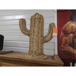 DE0093-CACTUS CLASSIQUE L...