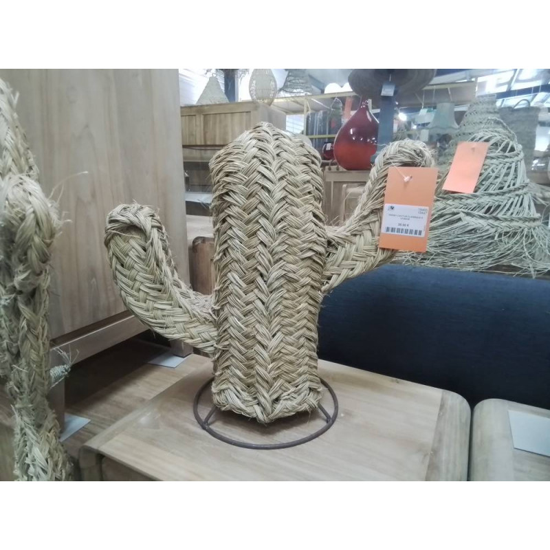 DE0091-CACTUS CLASSIQUE S HT45CM