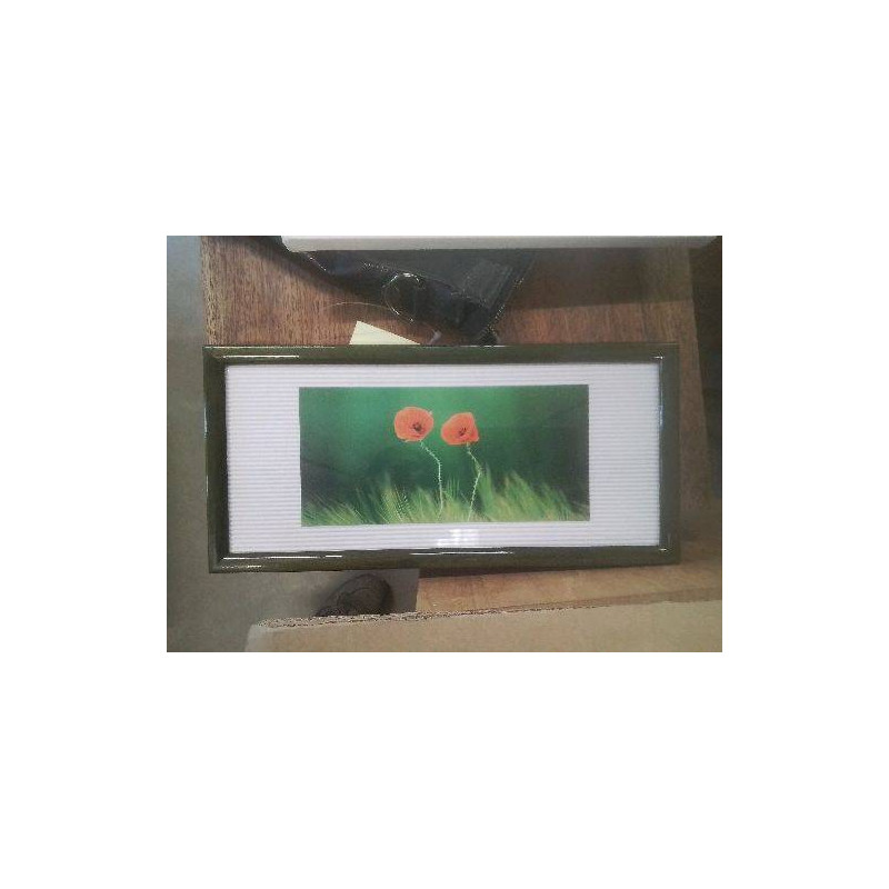 PETIT CADRE RECTANGULAIRE VERT COQUELICOT