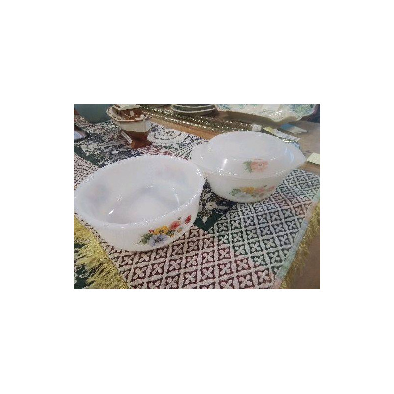 DUO PLATS ARCOPAL 