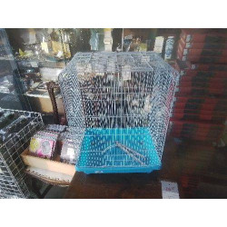 CAGE OISEAU BLC BLEU