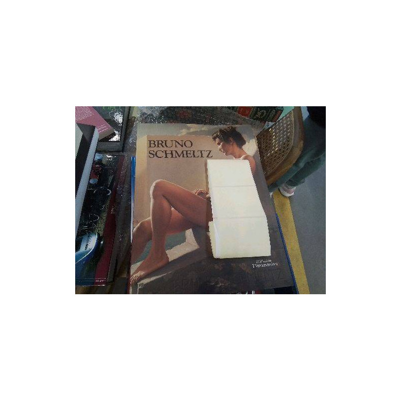 LIVRE BRUNO SCHMELTZ DESSINS