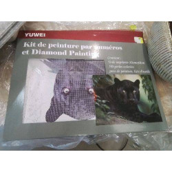 KIT PEINTURE PANTHERE
