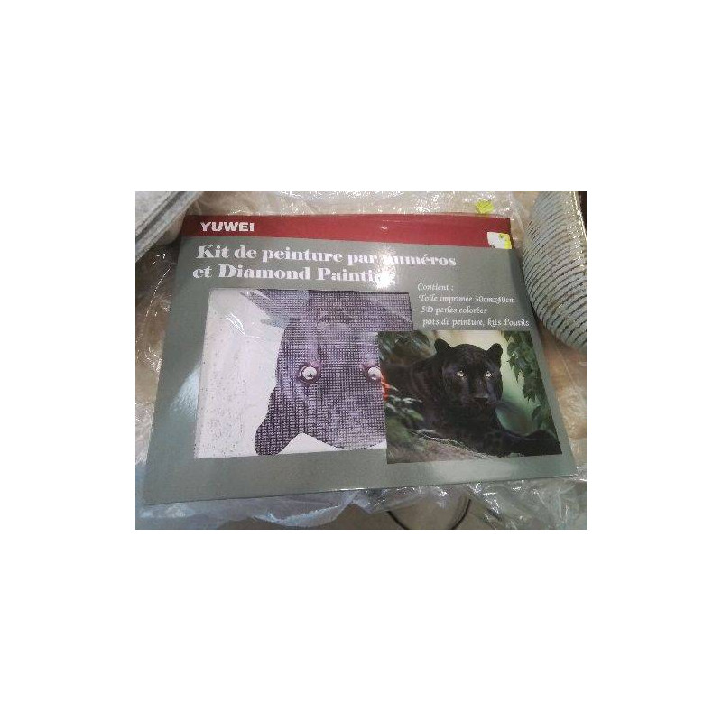 KIT PEINTURE PANTHERE
