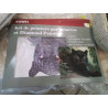 KIT PEINTURE PANTHERE