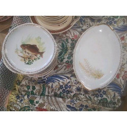 SERVICE POISSON LIMOGES