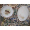 SERVICE POISSON LIMOGES