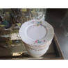 LOT ASSIETTES PORCELAINE FLEURIE HAVILAND