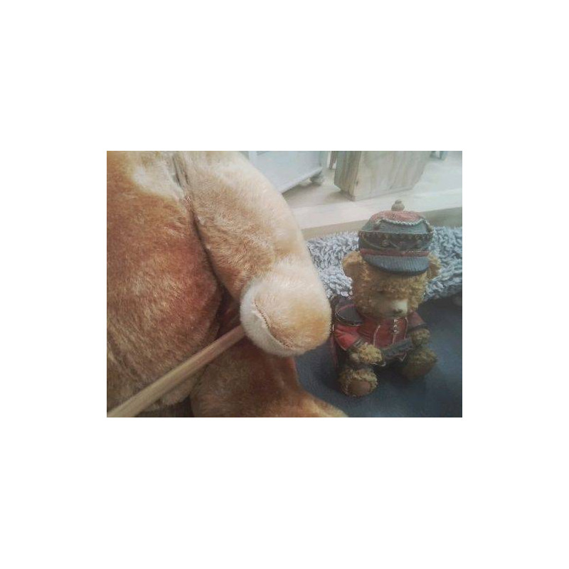 TIRELIRE OURS ANGLAIS
