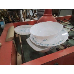 PLAT SERVICE ARCOPAL FLEURI...