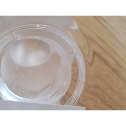 VIDE POCHE OISEAU LALIQUE
