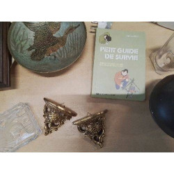 PETITE GUIDE DE SURVIE LIVRE
