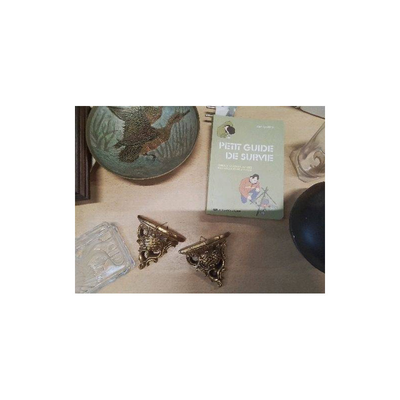 PETITE GUIDE DE SURVIE LIVRE