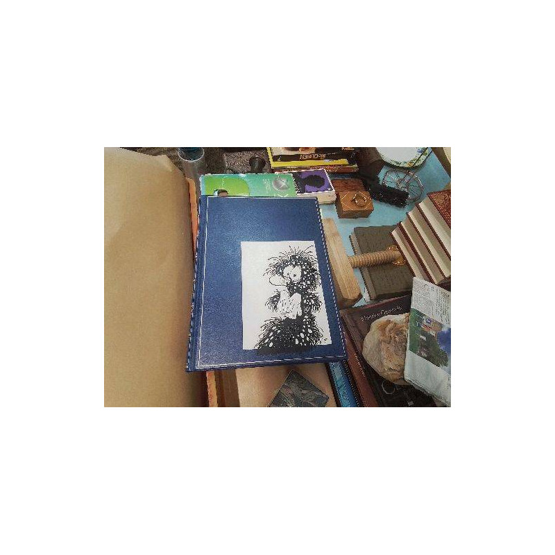 LIVRE BD IDEES NOIRES FRANQUIN
