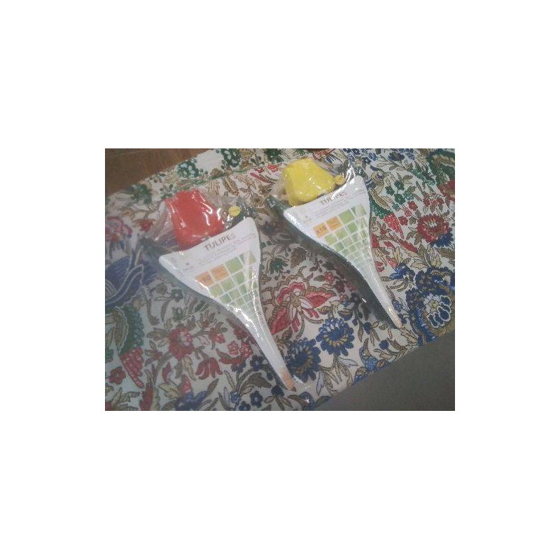 LOT BORDURES DE JARDIN TULIPES