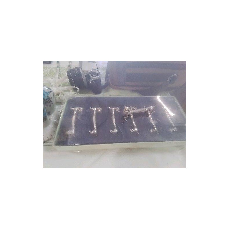 BOITE DE PORTES COUTEAUX CHATS MA