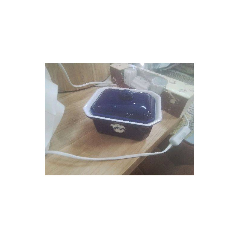 TERRINE BLEUE EMILE HENRY 
