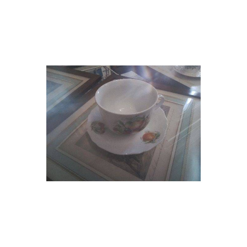 TASSE FRUITS