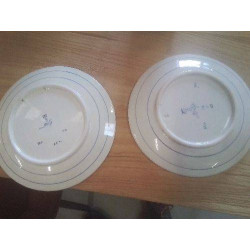 DUO ASSIETTES DELFT PM