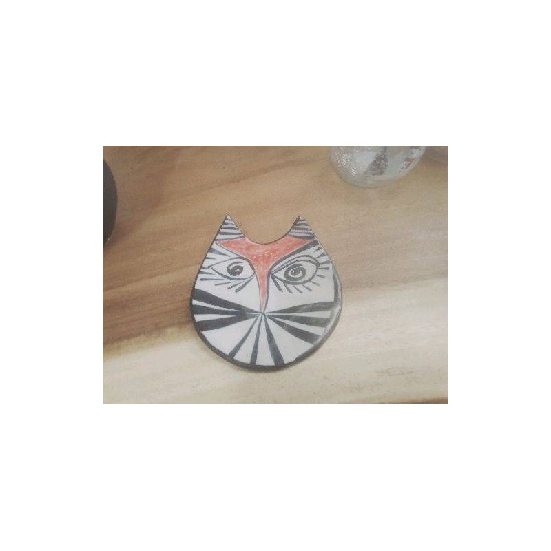 VIDE POCHE VISAGE CHAT