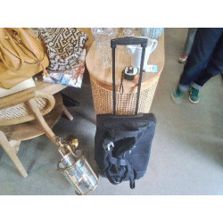 SAC DE VOYAGE DELSEY 