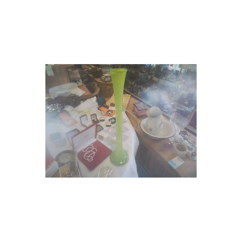 SOLIFLORE VERT ANIS